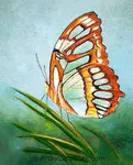 Beginner and intermediate artists learn how to paint a butterfly, step-by-step tutorial for painting a Malachite Butterfly with oil paint, from start to finish.