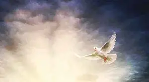 Do you wonder how to visit heaven? We can visit heaven while we are still alive on earth. Christians have the privilege of visiting heaven through Christ Jesus.