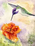 Doing hummingbird paintings of God’s beautiful jewels is such a joy! Hummingbirds pack so much color and personality. Their beauty shines in these paintings.