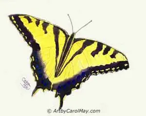 Learn how to paint a butterfly in 5 easy steps, then choose a watercolor or oil butterfly tutorial that fits your style and skill level to paint with the steps.