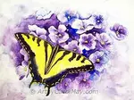Take the stress out of learning how-to paint a butterfly. A five step watercolor tutorial for painting a Tiger Swallowtail Butterfly from start to finish. 