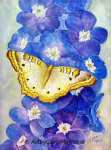 watercolor painting of a White Peacock Butterfly on blue delphinium flowers