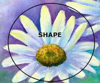 Width and height define the size of an object. The shape of an object shows two sides.