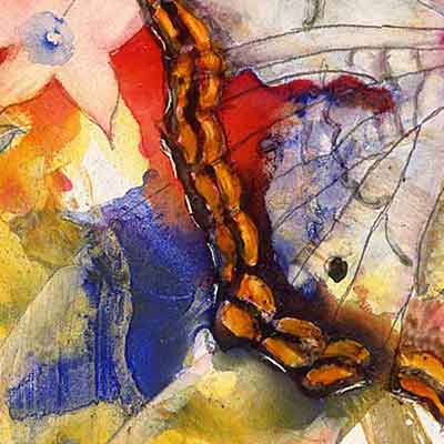 White Peacock butterfly detail-1