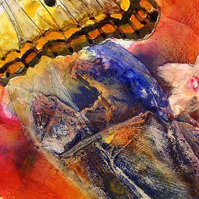 White Peacock butterfly detail-2