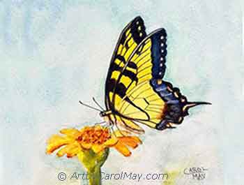 Browse the beautiful nature paintings by Carol May.