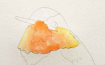 Paint orange in the center of the gorget.