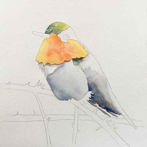 Begin painting the rest of the hummingbird.