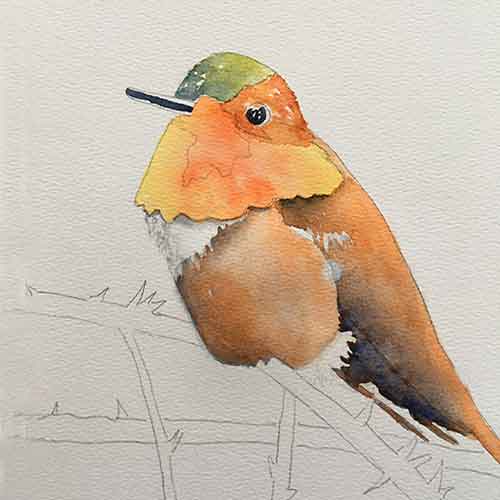 Continue painting the watercolor hummingbird.