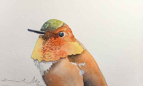 You may indicate the individual feathers on the hummingbird's gorget.