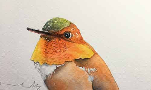 Finish painting the hummingbird's head.