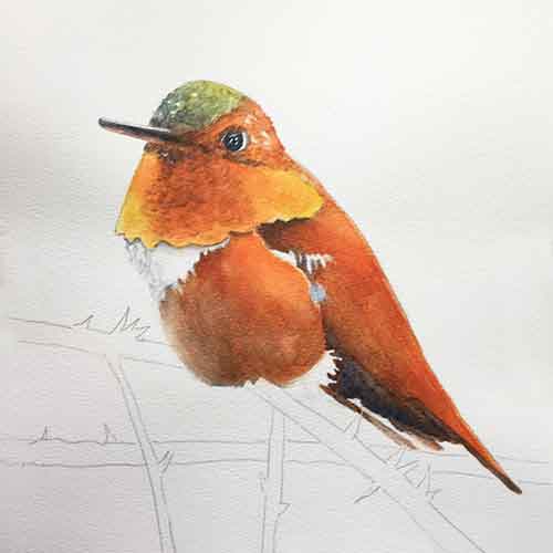 Work on the hummingbird's body.