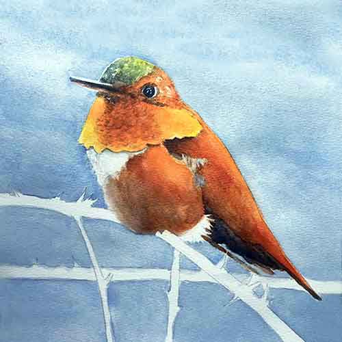 Paint the sky around the hummingbird.