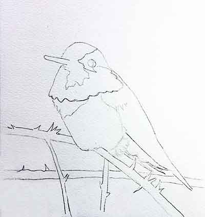 Begin the watercolor painting with a drawing.