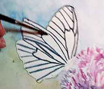 Paint the veins on the butterfly wings.