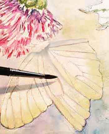 Paint the highlight and shadow color on the wings of the butterfly.