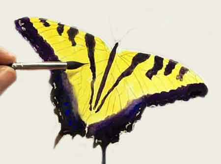 Step-4 Lightly paint the black veins in the butterfly wings.