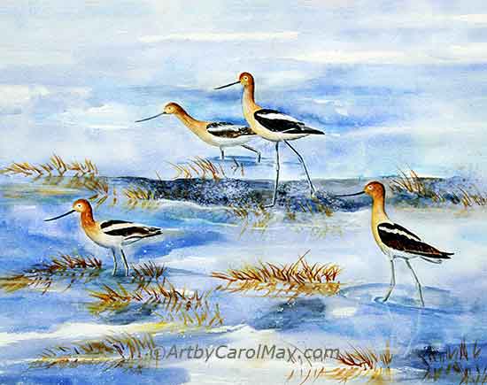 Avocets made a wonderful watercolor painting. We paint what inspires or amazes us!