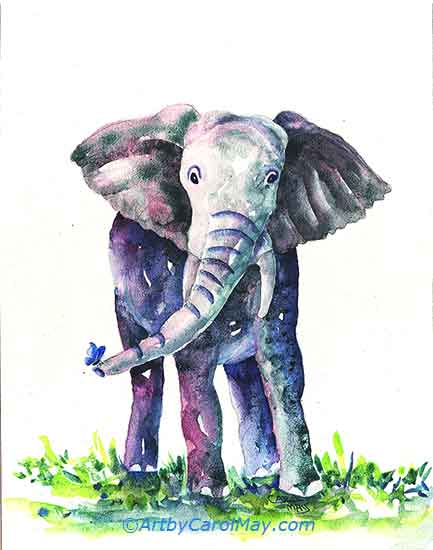 Watercolor painting of a baby elephant by Carol May A wildlife painting of a baby elephant with a blue butterfly on its trunk.