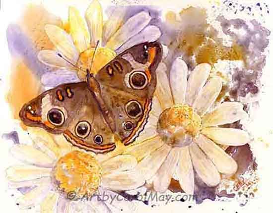 Buckeye Butterfly, mixed media painting art by Carol May Ampersand Claybord works well for watercolor paintings.