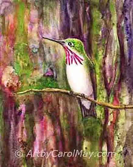 Watercolor painting of a Calliope Hummingbird by Carol May