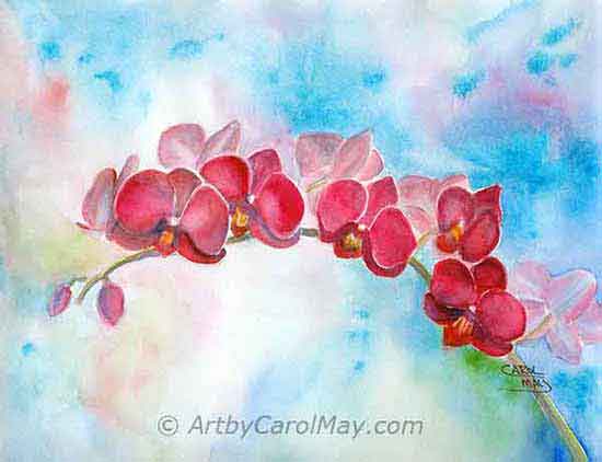 A beautiful orchid flower painting Doritenopsis orchid a flower painting by Carol May