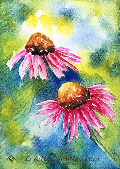 watercolor painting of an Echanesea daisy Echanesea painting by Carol May