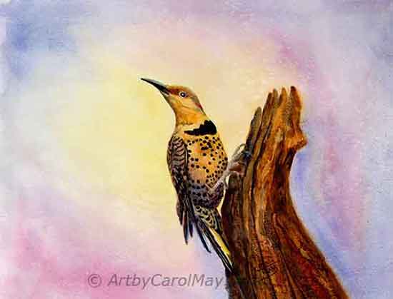Watercolor nature, bird painting by artist Carol May