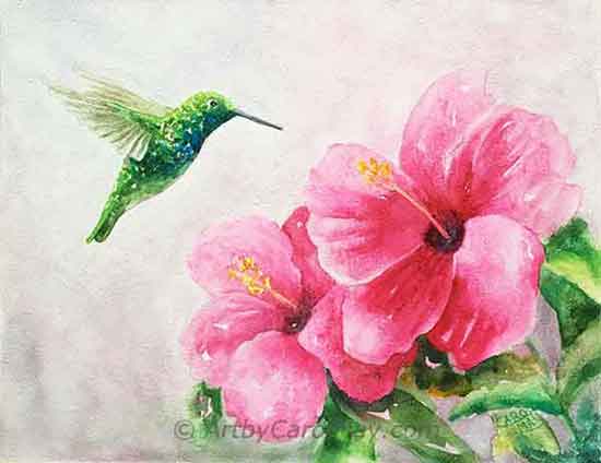 Watercolor Hibiscus flowers painting with a green hummingbird
