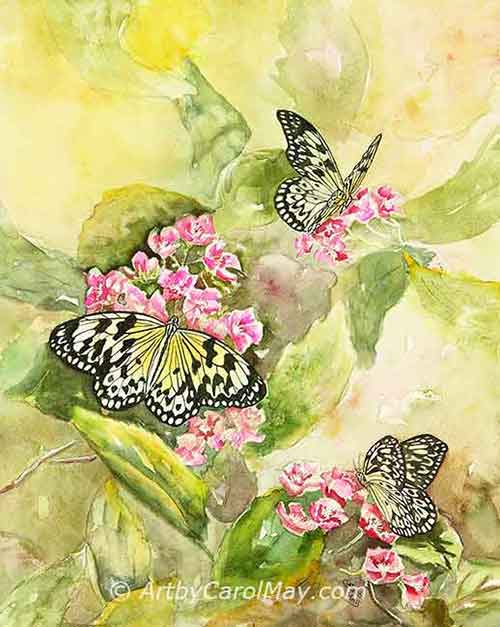 Large Tree Nymphs on False Hydrangeas, watercolor painting by Carol May