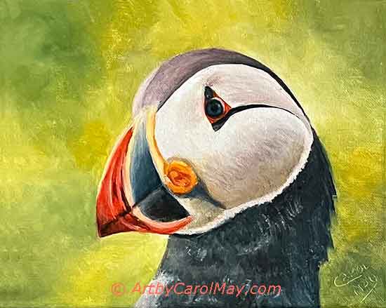 Oil painting on stretched canvas, 8x10 C-Puffin