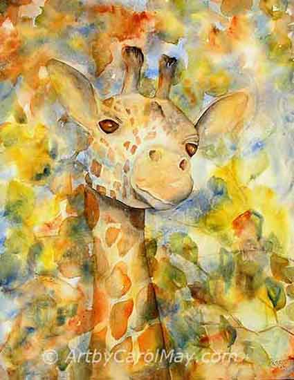 Giraffes have "Spots" for camouflage. That gave the name for this painting by Carol May. "Spots" is a watercolor wildlife animal painting of a giraffe.