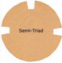 Semi-triad color scheme uses colors on only half of the color wheel. Semi-triad paint color scheme