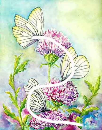 S-curve composition of a butterfly and flower painting.