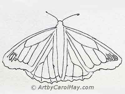 You can draw a butterfly step by step.