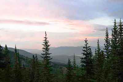 Mountain landscape with evergreen trees. Begin painting with easy ideas.