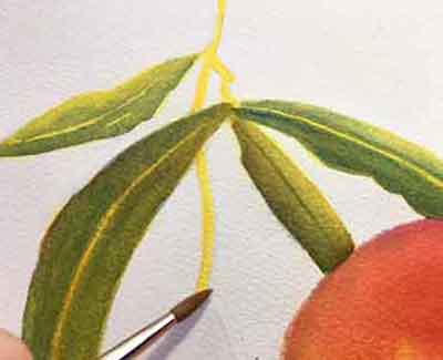 Start painting the stems.