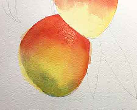 Continue glazing watercolor on the mangoes.