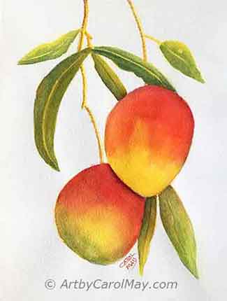 Learn glazing with watercolor by artist Carol May