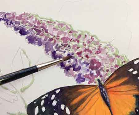 Start painting the flower. Painting the watercolor flower that the butterfly is sitting on.