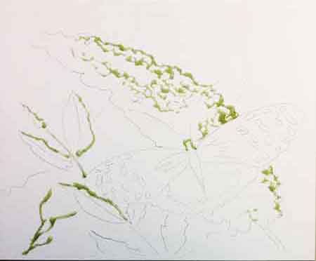 Apply masking fluid to the paper and let it dry. How to keep the watercolor paper white.