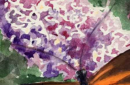 Paint the butterfly head and antenna. Complete painting the butterfly head and antenna.