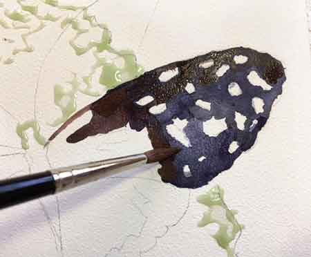 Leave the white paper for the spots on the wings. Painting the butterfly wing and leaving the white paper spots.