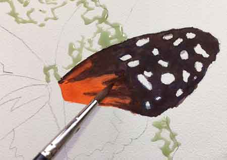 Paint orange toward the base of the wing. Painting the butterfly wing, add orange closer to the body.