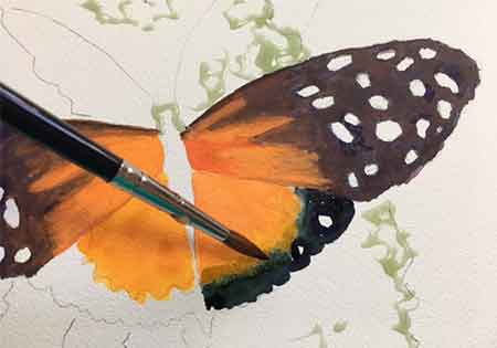 Keep painting the butterfly wings. Painting butterflies with Carol May