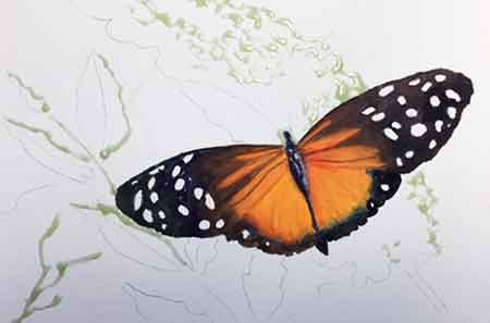 Paint the veins on the butterfly's wings. Complete painting the butterfly body and paint the veins on the wings.