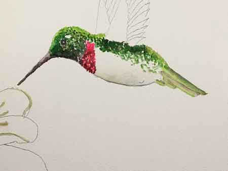 Paint the gorget and tail feathers of the hummingbird