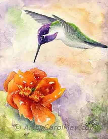 Check-out the hummingbird paintings by the artist Carol May.
