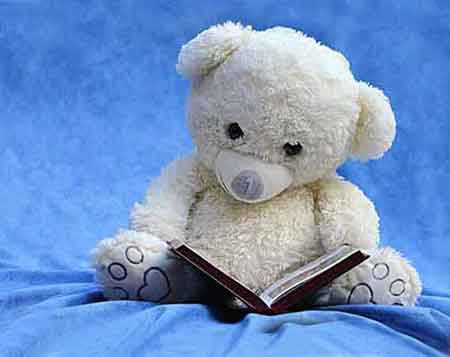 The reference photo for learning to oil paint.