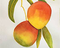 How glaze with watercolors